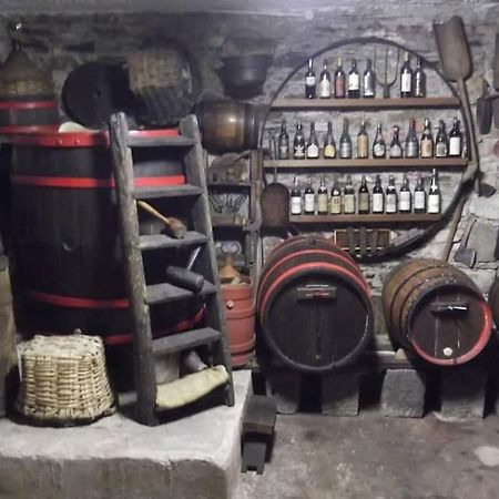 Ferienwohnung I Chechin - Homy 5 Terre Volastra Exterior foto
